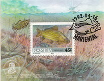 [Freshwater Angling, տեսակ BC1]