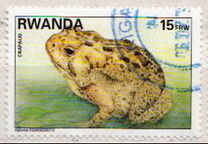 [Native Animals, type AWZ]