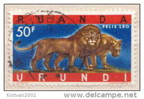 [Endangered Animals - Big Cats, type CN]