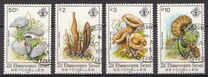 [Mushrooms, type A]