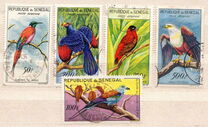 [Birds, type CA]