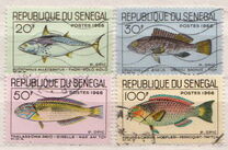 [Fish, type FF]