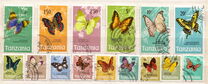 [Butterflies, 類型 AG]