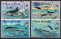 [Whales and Dolphins, type FF]