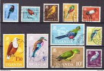 [Birds, tyyppi AG]