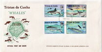 [Whales and Dolphins, type FF]