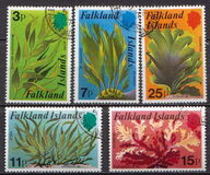 [Kelp and Seaweed, Typ GZ]