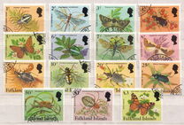 [Spiders and Insects, type LG]