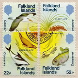 [Nature Conservation, Tip MF]