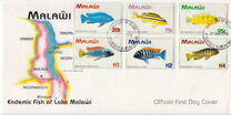 [Fish of Lake Malawi, tipas UW]