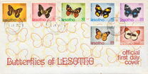 [Butterflies, tyyppi DY]