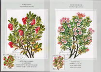 [Flowers, type NU]