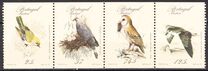 [Rare Birds, סוג BV]