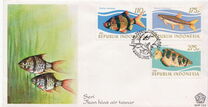[Tropical Fish, 类型 AQI]
