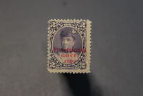 [Previous Issued Stamps Overprinted "Provisional GOVT. 1893" in Red, 類型 W1]