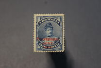 [Previous Issued Stamps Overprinted "Provisional GOVT. 1893" in Red, 類型 Q2]