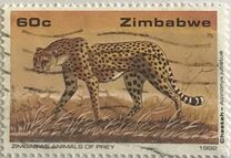 [Wildlife Conservation - Big Cats, 유형 IK]