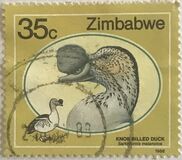 [Wild Ducks and Geese of Zimbabwe, 유형 FI]