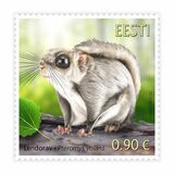 [Fauna - The Siberian Flying Squirrel, type BFO]