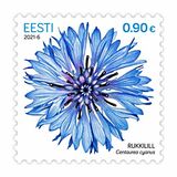 [Cornflower, type BDU]