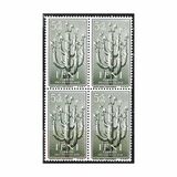 [Child Welfare - Local Flora, type AM]