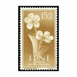 [Child Welfare - Local Flora, type AN]