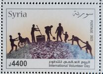 [International Volunteer Day, Scrivi BZK]