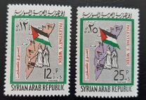 [Palestine Week, Tipi PP]