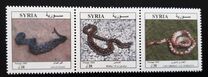 [Snakes, type BIK]