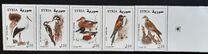 [Syrian Birds, type BHD]