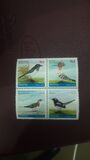 [Protected Wild Animals - Birds, tip AIO]