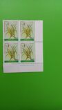 [Medicinal Plants, Tipo AGV]
