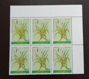 [Medicinal Plants, Tipo AGV]