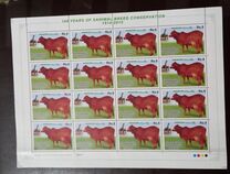 [The 100th Anniversary of the Sahiwal Breed Conservation, type AWC]