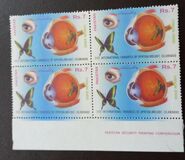 [The 21st International Ophthalmology Congress, Islamabad, tip AEY]