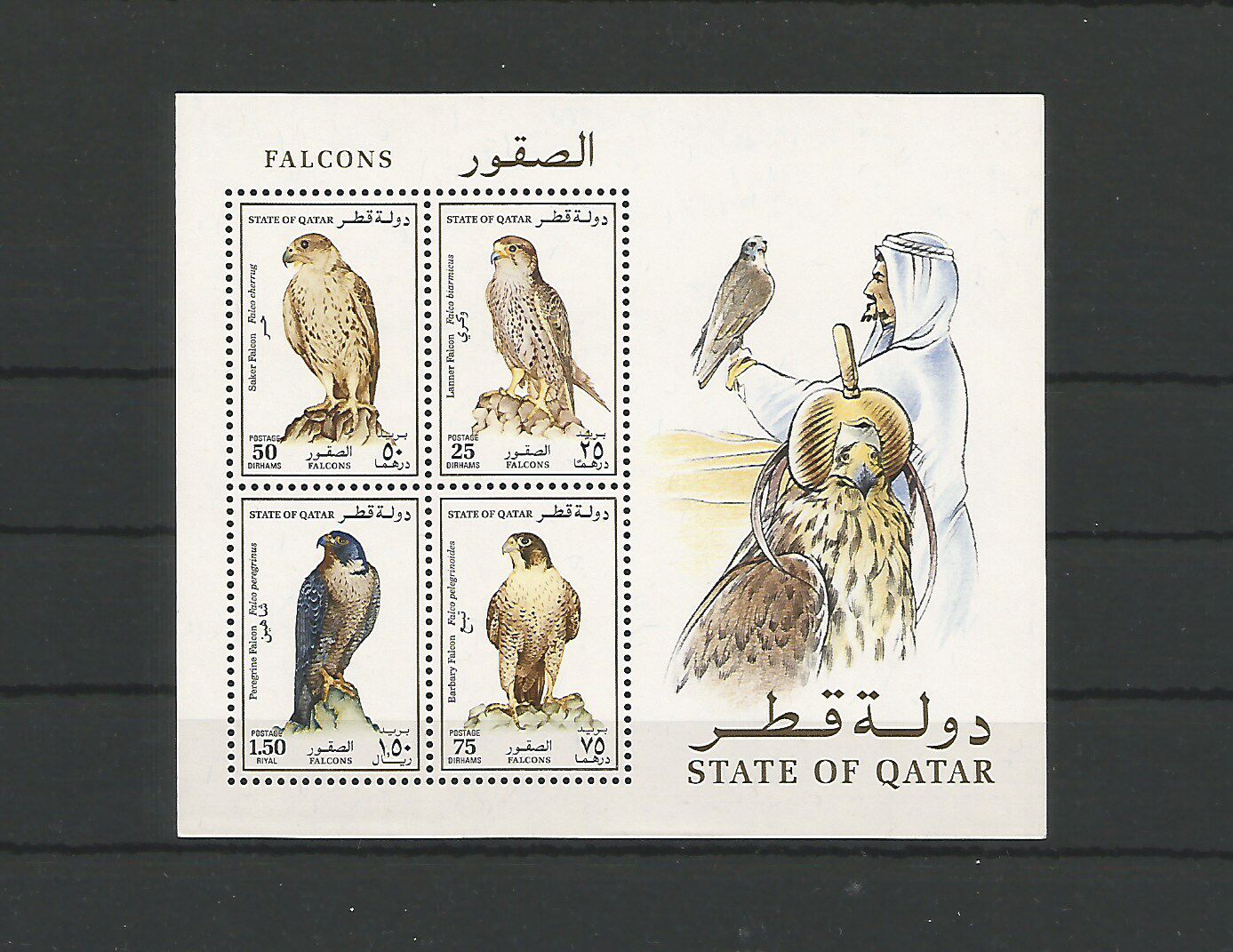 [Falcons, type WA]