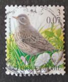 [Birds, タイプ CIJ]