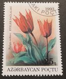 [Flowers, type AI]