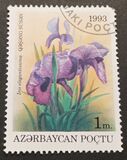 [Flowers, type AK]
