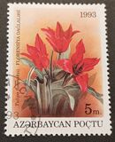 [Flowers, type AM]