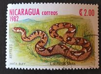 [Reptiles, tip BFM]