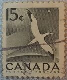 [National Wildlife Week, type GR]