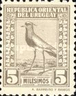 [Southern Lapwing, type FV]