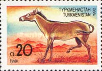 [Fauna, type B]