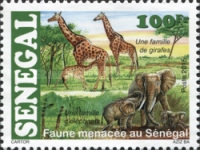 [Endangered Animals, Tip BWP]
