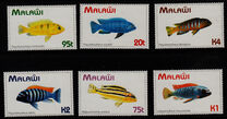 [Fish of Lake Malawi, tipas UW]