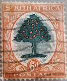 [Local Motives - Country name in English or Afrikaans, typ AM]
