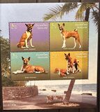[Khun Tongdaeng (Dogs), Tip DLN]