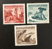 [Hunting, 類型 HP]