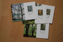 [The Four Seasons of the Forest, type ZK]